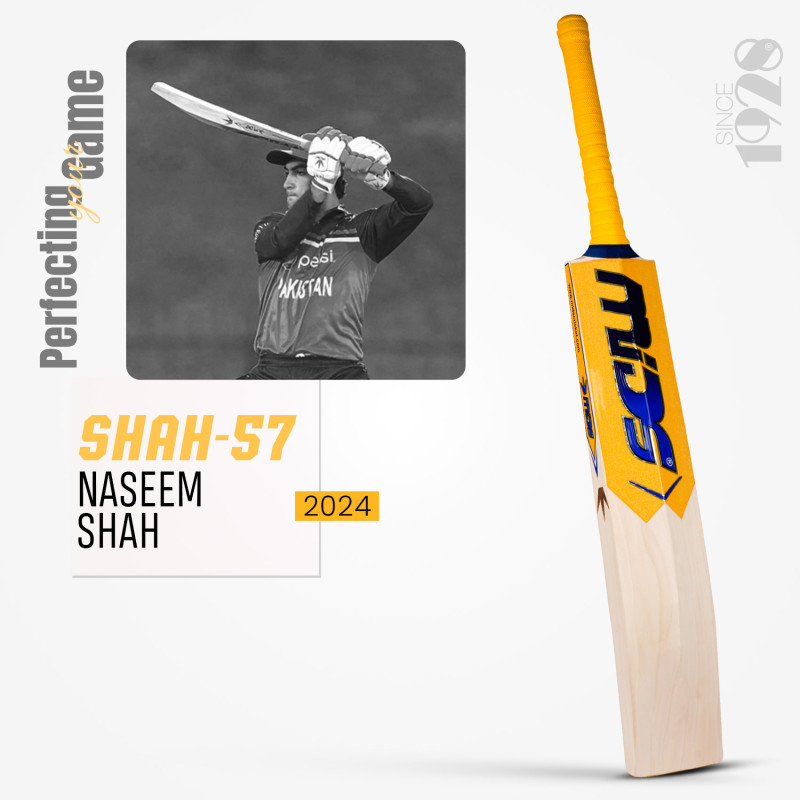 Naseem Shah